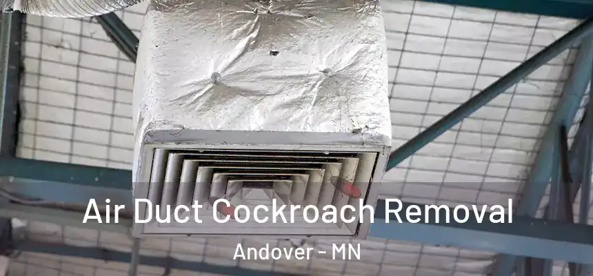  Air Duct Cockroach Removal Andover - MN