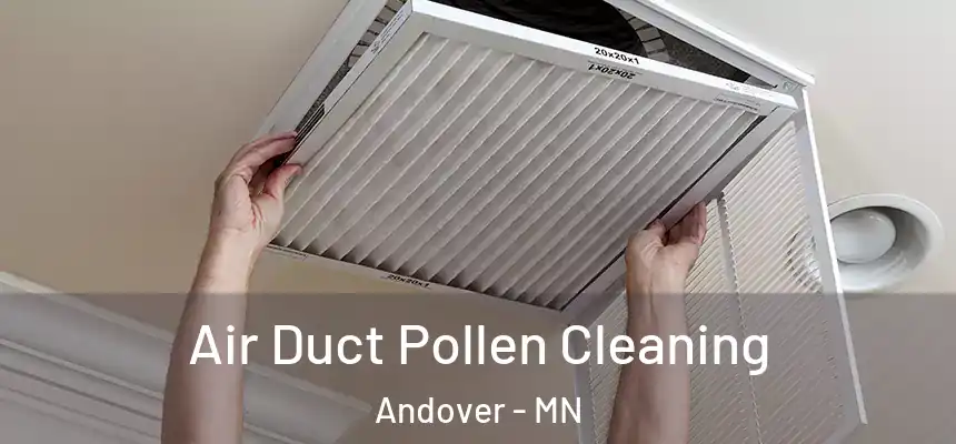 Air Duct Pollen Cleaning Andover - MN