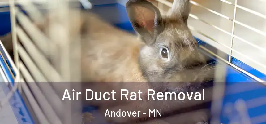  Air Duct Rat Removal Andover - MN