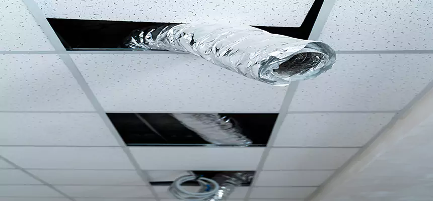 Our Air Duct Pet Hair Removal Services in Andover, MN