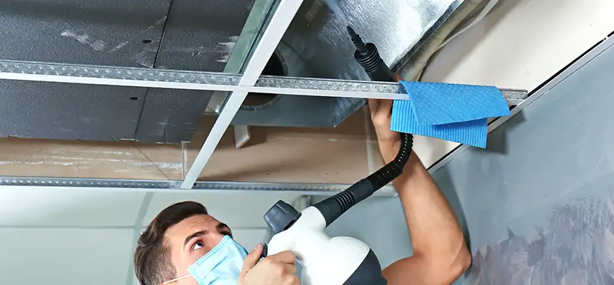 Our Air Duct Rodent Removal Services in Andover, MN
