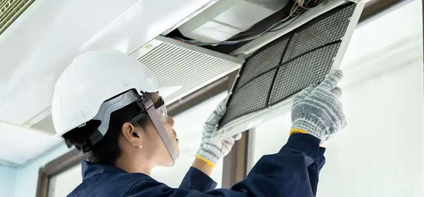 Our Lint Trap Cleaning Service Services in Andover, MN