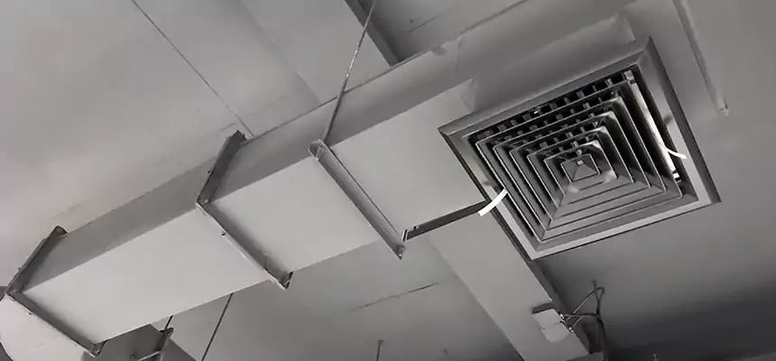 Our Pest Removal From Ducts Services in Andover, MN