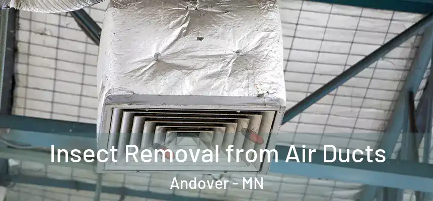  Insect Removal from Air Ducts Andover - MN
