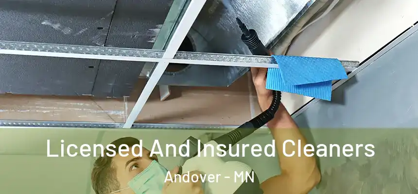 Licensed And Insured Cleaners Andover - MN