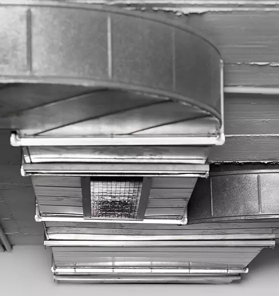 Professional Air Duct Pet Hair Removal in Andover, MN