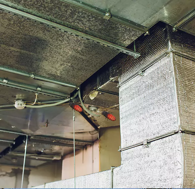 Why Homeowners & Businesses Trust Us in Andover, MN?