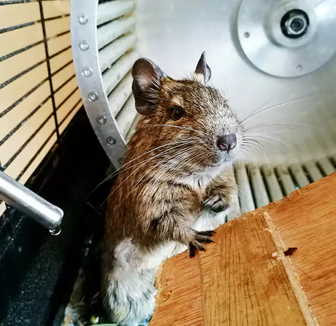 Why Homeowners & Businesses Trust Us Andover, MN