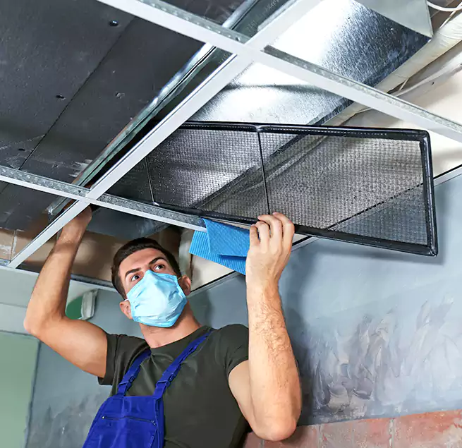 Why Homeowners Businesses Trust Us in Andover, MN