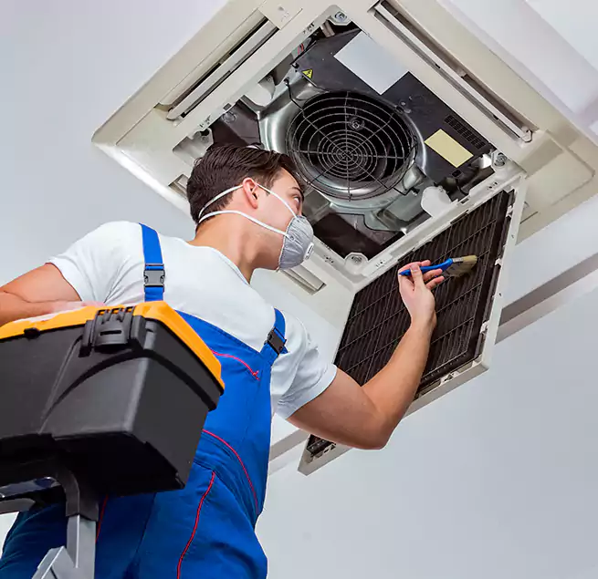 Why Homeowners & Businesses Trust Us in Andover, MN