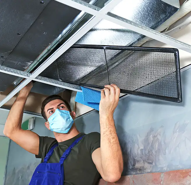 Why Homeowners & Businesses Trust Us in Andover, MN?